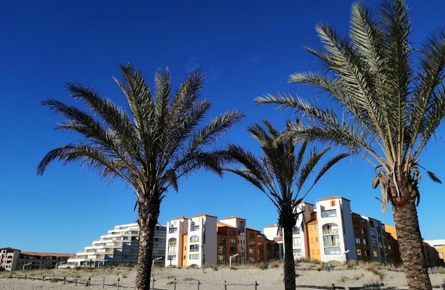 Palm Beach