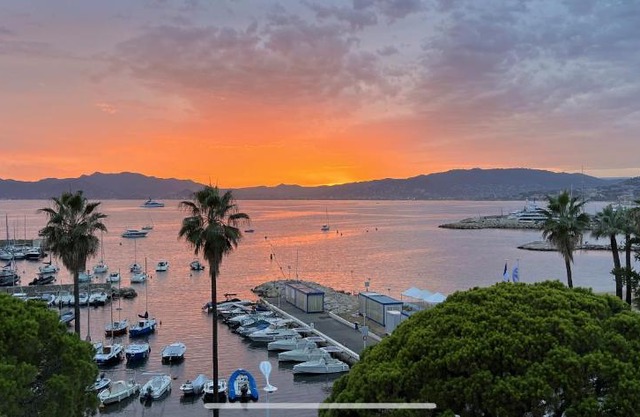 Palm croisette front de mer1