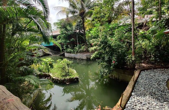 Palm Grove Eco Resort