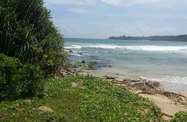 Palm Hill Guest House