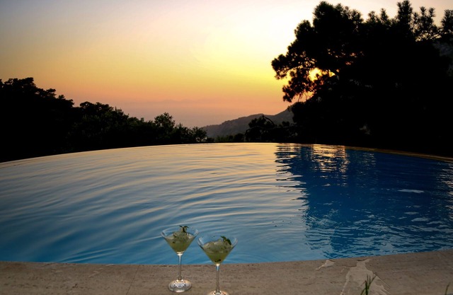Palm House Dalyan - Stone House with Private Infinity Pool