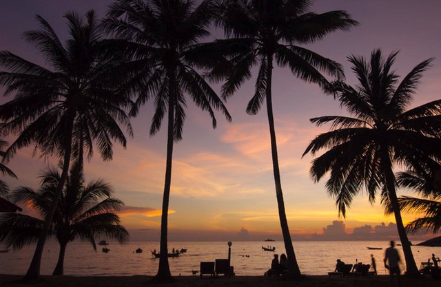 Palm Leaf Resort