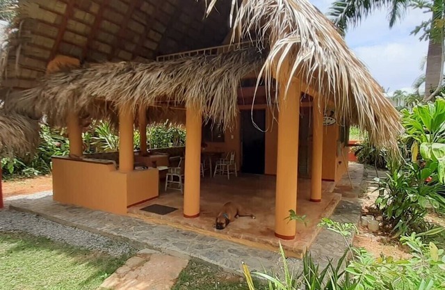 Casa con techo de palma en la segunda fila al mar