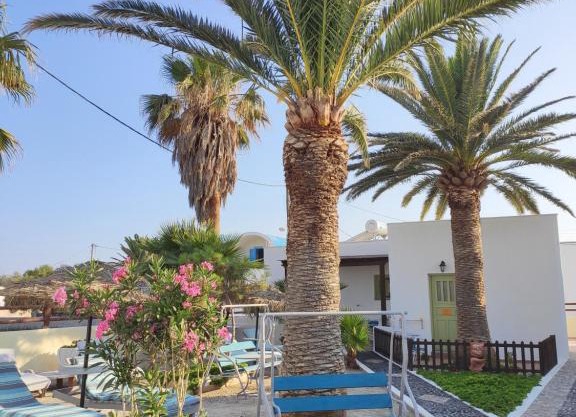 Palm Studios