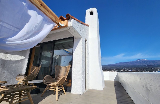 Palm Tree Villa
