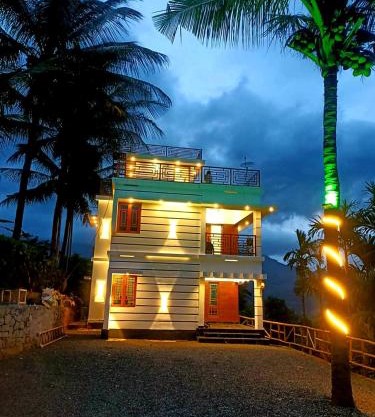 Palm view 2