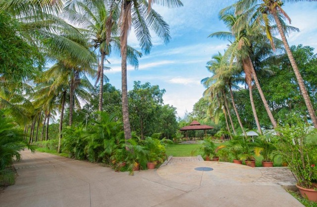 Palmwoods Retreat