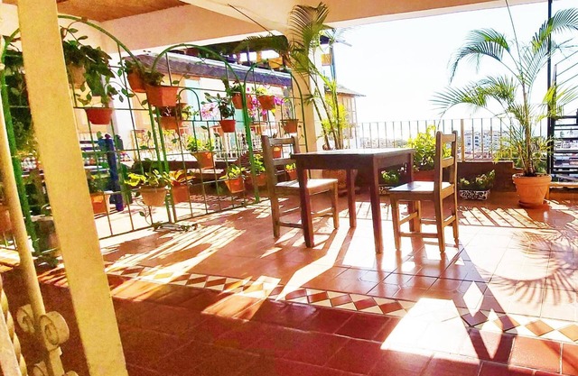 Paloma Del Mar