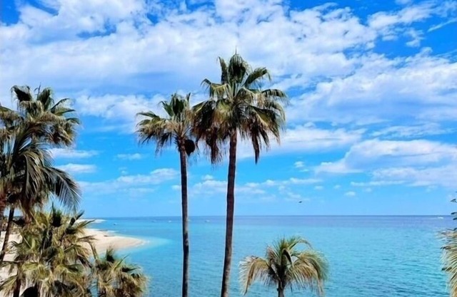 Paloma Jr. Suites 2nd Floor 2-rooms -patio & ocean view