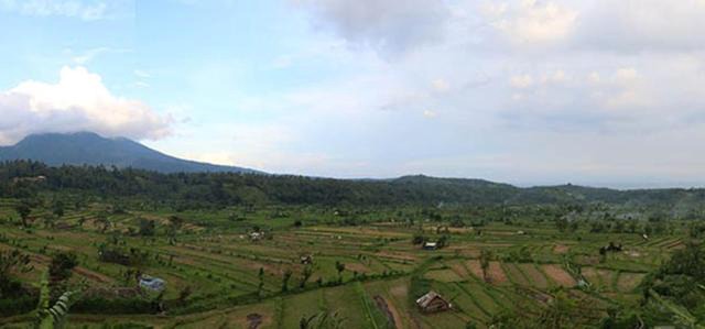 Pandan Guest House