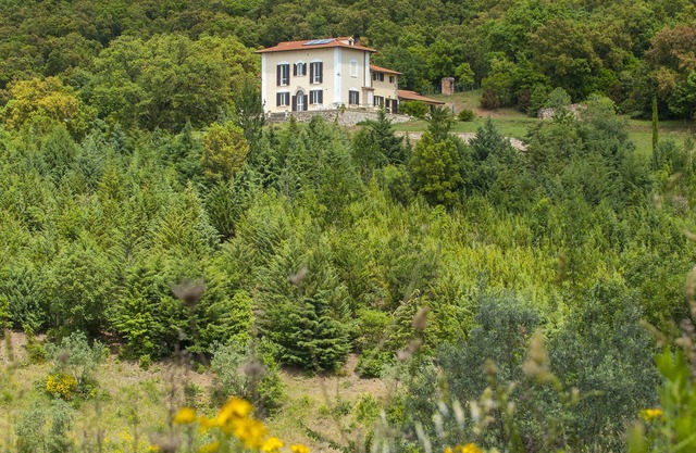 Nuevo apartamento para 4 personas en el corazón de la Toscana "Il Girasole"