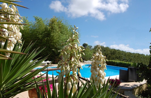Oasis of relaxation and well-being for body and soul at 50minutes away from Rome