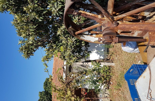 Viviendas panorámicas en la naturaleza con pinares, valles de olivos, mar y gre