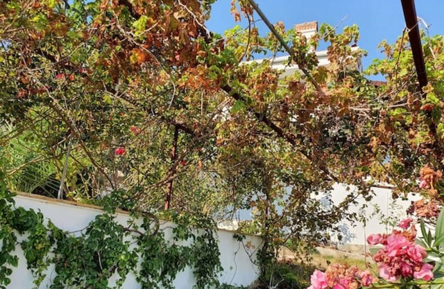 Panoramic Seaview Villa in Bodrum Turkey