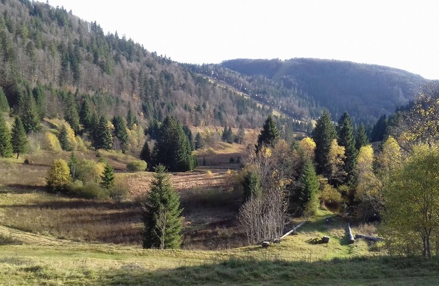 Apartamento con vista panorámica en las pistas de Labresse y La Tourbière
