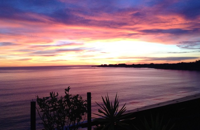 Vistas panorámicas de Monterey a Capitola, Beach Studio con vistas al acantilado de 100 '