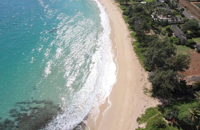 Paradise Beachfront Private Estate, Laie - Pequeñas bodas y eventos (LEGAL TVU)