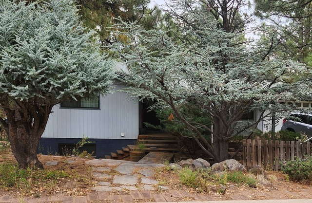 Paradise in the Pines