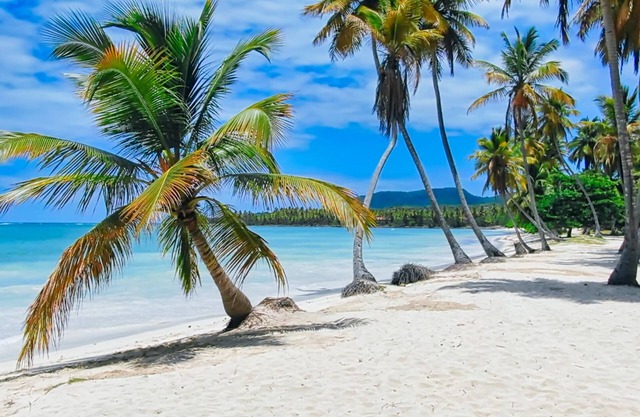 Paradiso del Caribe