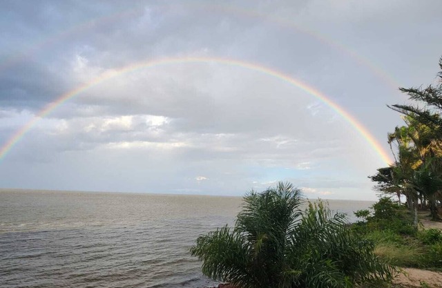 Paraiso Amazônico