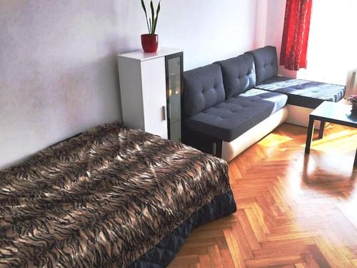 Parkovani zdarma jeden velky pokoj s Netflix pro 2 osoby ve sdilenem soukromi se ženou