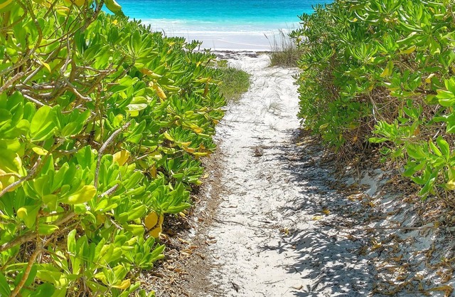 Parrots Perch Beach Cottage - charming tropical island living w/ modern comforts