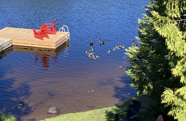 Parry sound beachfront cottage on lake Manitou