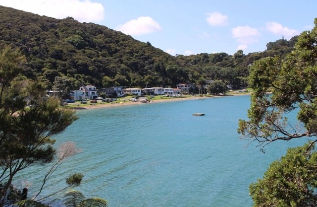 Parsloe's Cottage ~ Coromandel Town