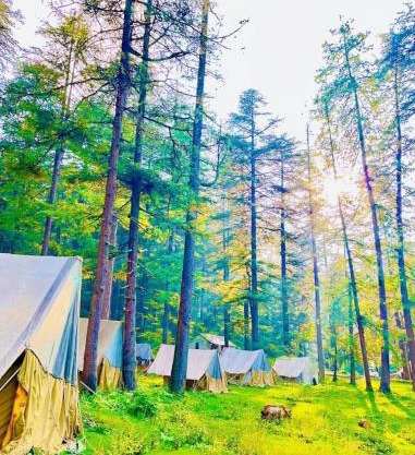 Paryatan Homestay