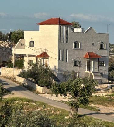 Pasha's house
