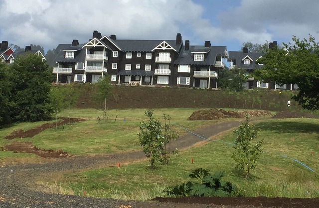Apartamento en la Patagonia Virgen Frutillar Lago Llanquihue, máximo 5-6 personas.
