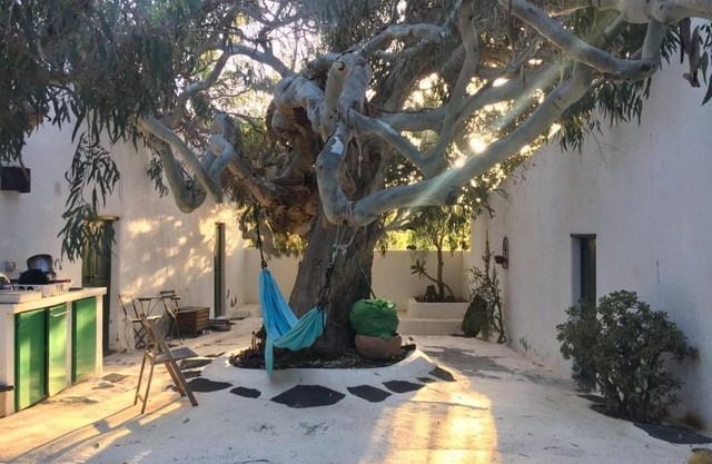 Patio II studio at finca