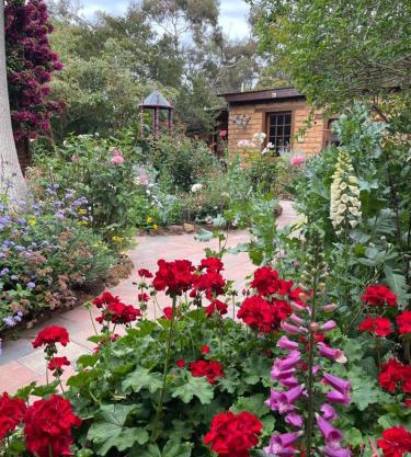 Patricias Garden Studio