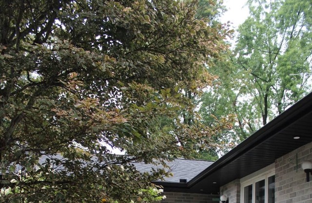 Patterson Pines Villa - Caledon East