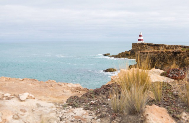 Lugar de Paula 8 Ti un árbol cerca de Robe
