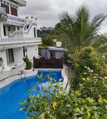 Pavotel Resort