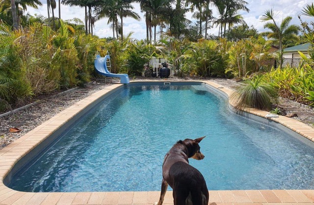 Peace and Tranquility by the pool