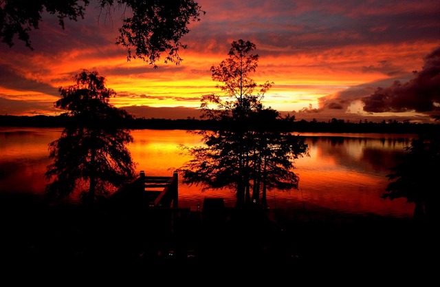 Tranquilidad en el lago