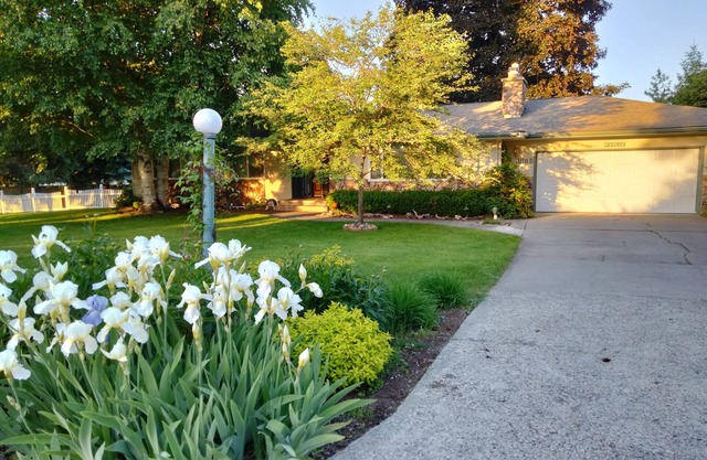 Peaceful 3 Bedroom very close to Silverwood and near Skiing