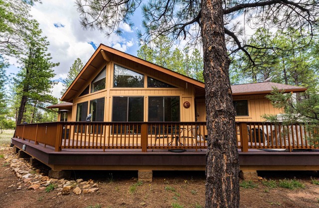 Peaceful cabin retreat nestled in the Pines. w/ StarLink!
