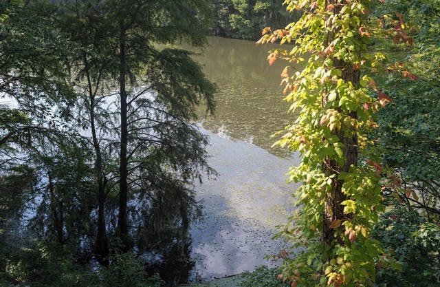 Peaceful Condo on Lake Marion in Santee, SC. Time to play golf and go fishing!