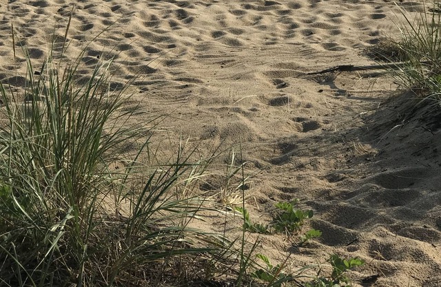 Peaceful cottage with a beautiful lake view.