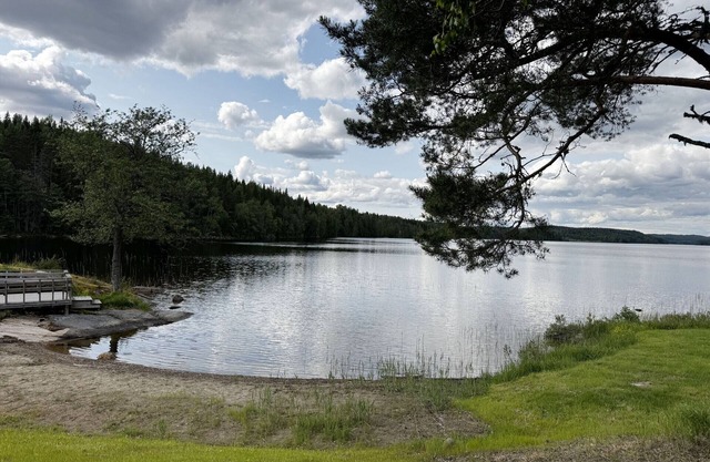 Peaceful holiday home in Skillingsfors, close to nature |SE18033