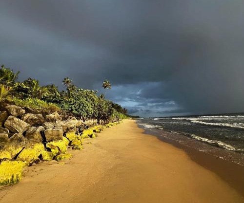Peaceful Homestay near Kizhunna Beach