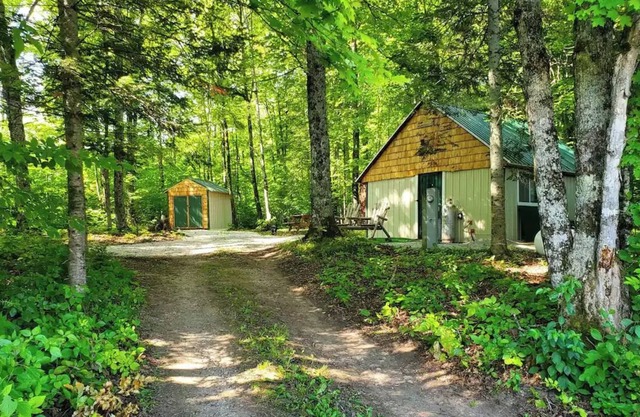 Peaceful Little Cabin