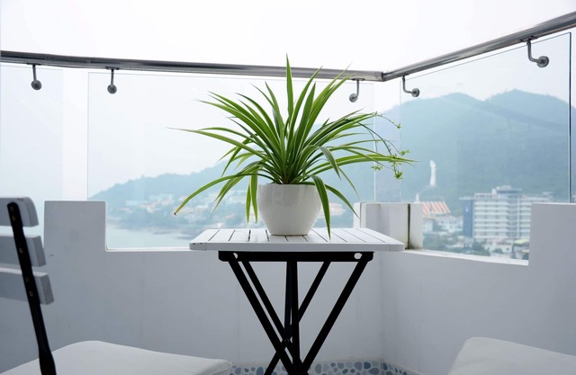 oasis de paz para un dulce escape en Vung Tau