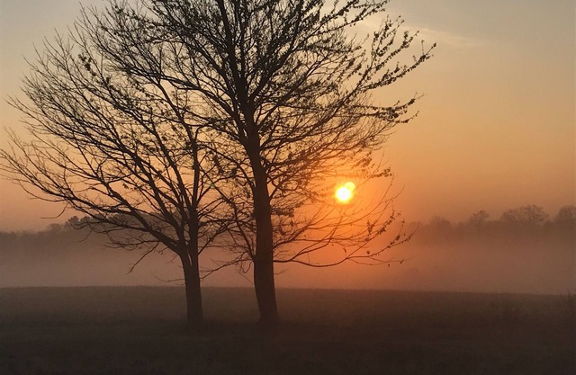 Retiro pacífico al norte de Nashville