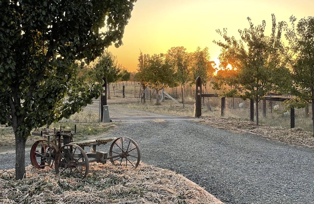 Peaceful & Picturesque Farm Stay Only 5 Mins Drive From Benalla Township