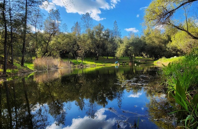 Peaceful Pond Retreat - Waterfront Camper Glamping