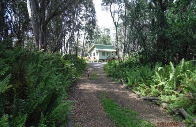 Peaceful Getaway Privado En El Bosque